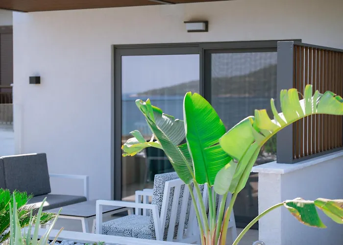 Aloe Elegant 4*