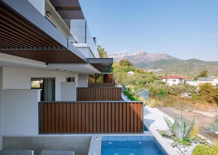 Aloe Elegant Apartahotel Skala Potamia (Thasos)